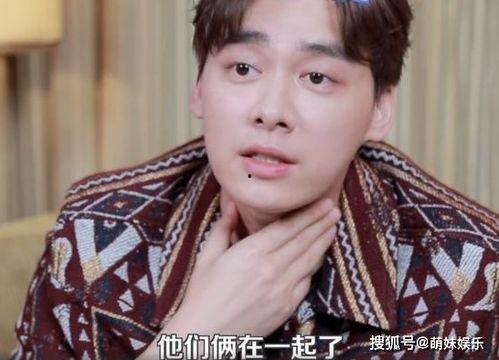 娱乐圈吃瓜王鹤棣是谁,瓜田李下，他如何成为焦点人物？